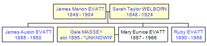 Mini tree diagram