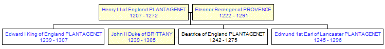 Mini tree diagram