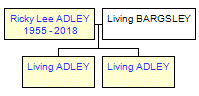 Mini tree diagram