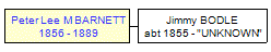 Mini tree diagram