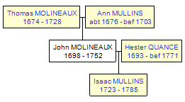 Mini tree diagram