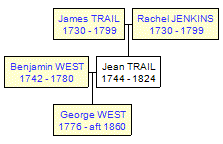 Mini tree diagram