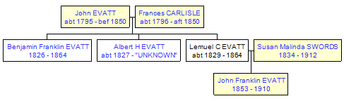 Mini tree diagram