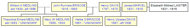 Mini tree diagram