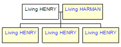 Mini tree diagram