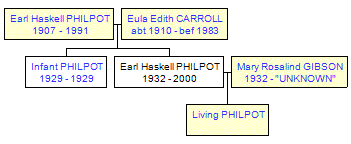 Mini tree diagram