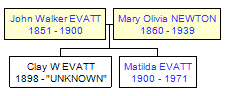 Mini tree diagram