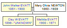 Mini tree diagram