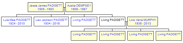 Mini tree diagram