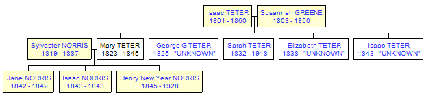 Mini tree diagram