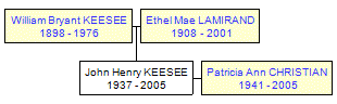 Mini tree diagram