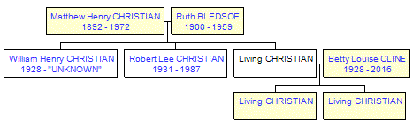 Mini tree diagram