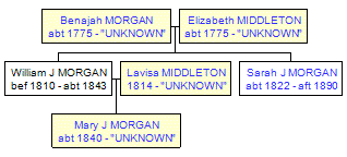 Mini tree diagram