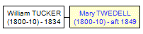 Mini tree diagram