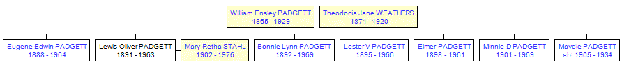 Mini tree diagram