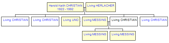 Mini tree diagram