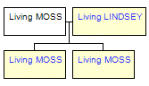 Mini tree diagram