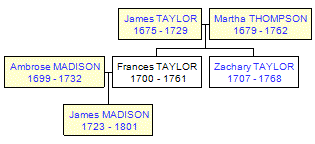 Mini tree diagram