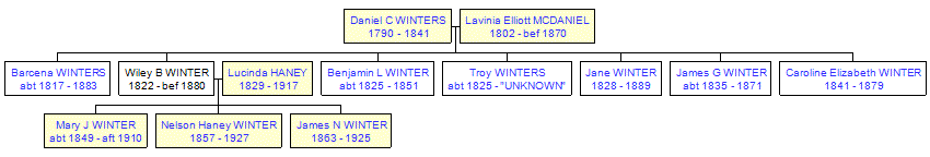 Mini tree diagram