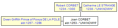 Mini tree diagram