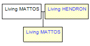 Mini tree diagram