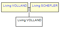 Mini tree diagram