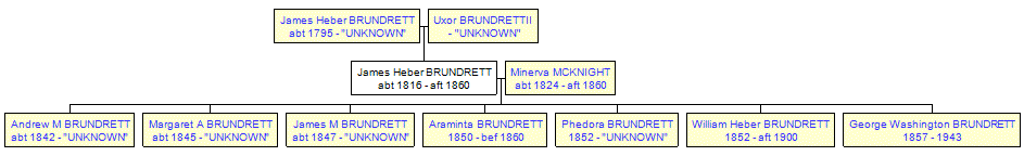 Mini tree diagram