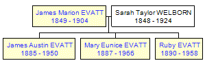 Mini tree diagram