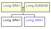 Mini tree diagram