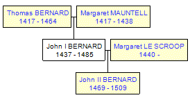 Mini tree diagram