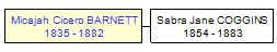 Mini tree diagram