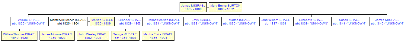 Mini tree diagram