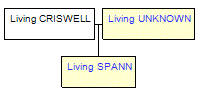 Mini tree diagram