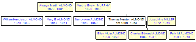 Mini tree diagram