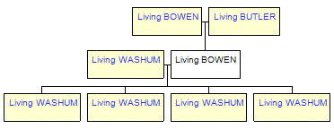 Mini tree diagram