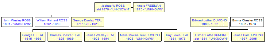 Mini tree diagram