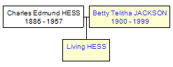 Mini tree diagram