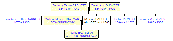 Mini tree diagram