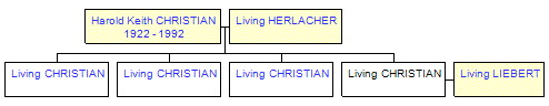 Mini tree diagram