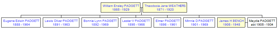 Mini tree diagram