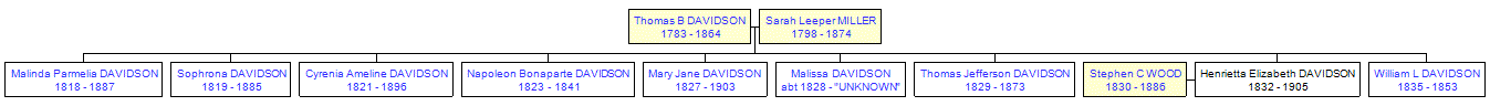 Mini tree diagram