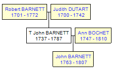 Mini tree diagram