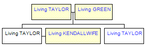 Mini tree diagram