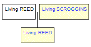 Mini tree diagram