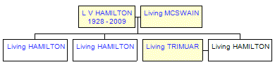 Mini tree diagram