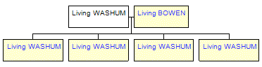 Mini tree diagram