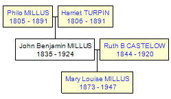 Mini tree diagram