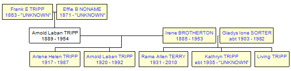 Mini tree diagram