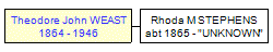 Mini tree diagram